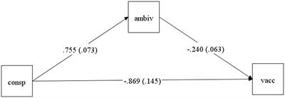 Afraid but misinformed: Conspiracist beliefs cancel the positive influence of fear of COVID-19 on vaccination intentions - Findings from a Romanian sample